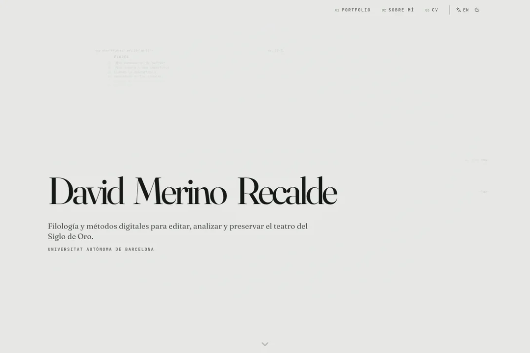 Página de la web académica de David Merino Recalde